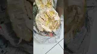 Jackfruit opening, rosall