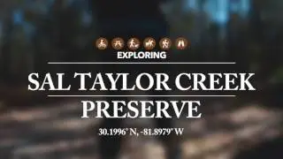 Exploring Northeast Florida's Sal Taylor Creek Preserve