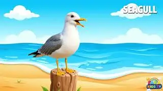 Seagull Sound & Call! 🌊 | Learn About Seagulls for Kids | Beach Birds for Toddlers & Preschoolers