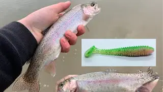 Perfect Color For Finicky Trout