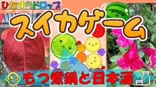 【スイカゲーム】ほのぼのしたひとときをフルーツ達と季節の花と名言と共に🌹息抜き、作業、育児、家事、仕事、勉強等のBGMに、ただただボーっとしたいときに、 お子様からシニア世代までごゆるりとごらんあれ♨