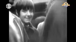 The Spencer Davis Group - Gimme Some Lovin' (1966)