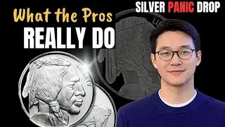 What the Pros do when silver price DROPS LIKE IT DID