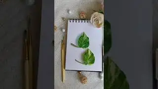 Realistic Watercolor Money Plant Leaf Painting #shorts #painting #realisticpainting #watercolor