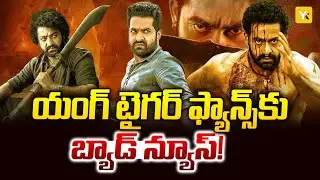ఎన్టీఆర్ షూటింగ్ నిలిపివేతకు అసలు కారణం ఇదే..!| NTR Prashanth Neel Movie Update | #yktv