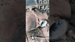 bs6 ka silencer