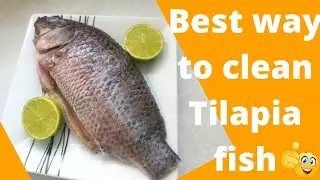 How to Clean Tilapia fish Easily | Tilapia fish Cleaning | Tilapia fish #Bossbaekamsy #shortsfired