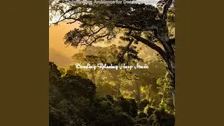 Sublime Backdrops for Deep Relaxation