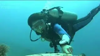 Backpacking around Sulawesi