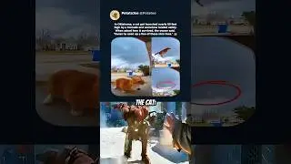 Super cat landing 🐈
