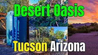 How Watershed Management Group Is Changing Tucson's Water Future | Tucson Arizona