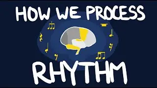 How We Process Rhythm | Neuroscience for Musicians