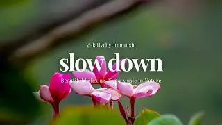 slow down | Beautiful & Relaxing Piano Music in Nature | 4K
