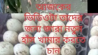 নতুন খামারিদের জন্য আজকের ভিডিওটা আমি খামার করে যেই সমস্যায় পরছি যাতে আপনারা এরুকুম সমস্যায় না পরেন