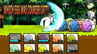 Teacher Cybear VS Egg Units and Can You Guess Which One Was Courier Cat??