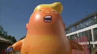 Giant 
