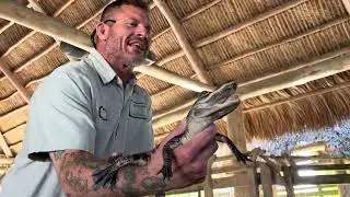 Gator Park Everglades FLA