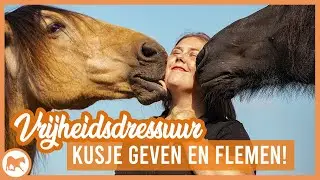 Vrijheidsdressuur | Leren kusje geven en flemen!