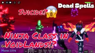 They Said It&rsquo;s Impossible&hellip; Ninja Class vs VoidReaper (Voidlands Challenge)