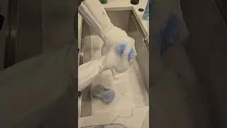 fake rinse with pinalen #cleantok #spongerinse #asmr #spongeasmr #asmrsoap #cleaning