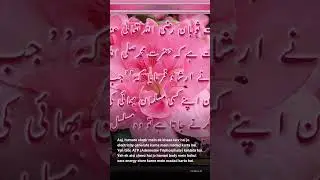#invideo #invideo #novoiceover #shorts #viral #human #part1