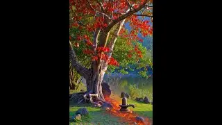 Uprooted Chinar Ch.8: Post-Independence Shift