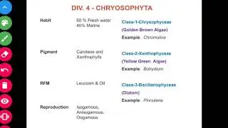 Classification of Algae