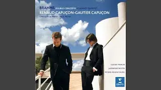 Double Concerto for Violin and Cello in A Minor, Op. 102: I. Allegro