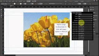 Adobe Muse Widget Mokaku Image Slider 17 EffectUser Guide
