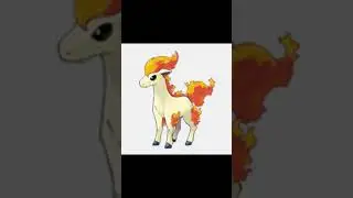 Ponyta s Evolutions