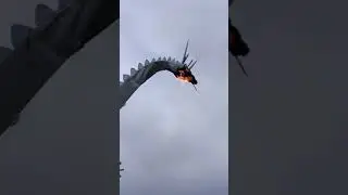 Real Fire Breathing Dragon! 🐉