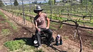 Heaven&rsquo;s Gate Winery Tasting (May 2020)