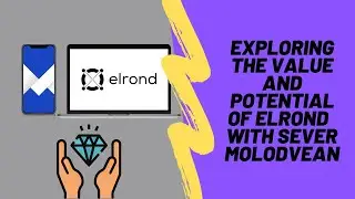Chat with Sever Moldovean - Elrond Blockchain Project Manager $eGLD