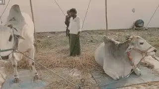 రైతు 