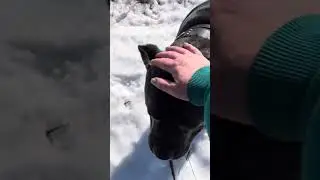 Ну и Титан ✅