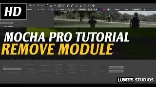 mocha Pro tutorial: Object Removal