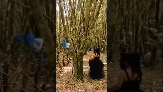 Hine-nui-te-po looking for Tagaloa in the forest. #hinenuitepo #tagaloa #tamangori