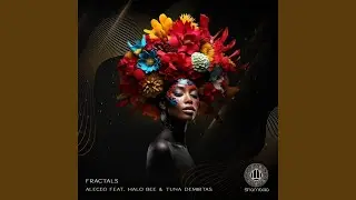 Fractals