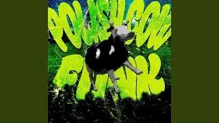 POLISH COW FUNK