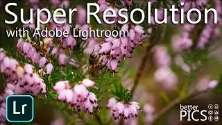 Super Resolution - Adobe Lightroom | #SuperResolution #AdobeLightroom #tutorial #HowTo #Lightroom