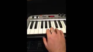 Vocoding using my korg-dvp1