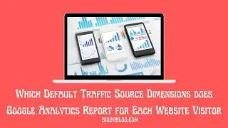 Which Default Traffic Source Dimensions does Google Analytics Report for Each Website Visitor