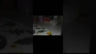 https://www.youtube.com/@xomka_27