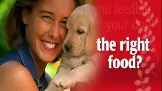 Dog and cat pet food - Nutrition and Quality Ingredients-Antioxidants