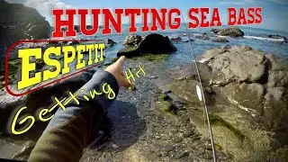 Top Water Sea Bass Fishing | FishUs Espetit | Out For A Cast #fishingCornwall