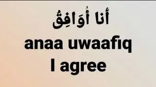 Learn new Arabic phrases / Arabic sentences for daily life/ Arabic phrases for beginners 