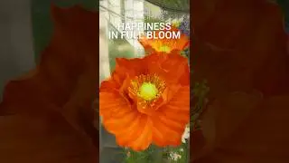 Siam Paragon Summersive : Plant Portrait signature scent by Copenn