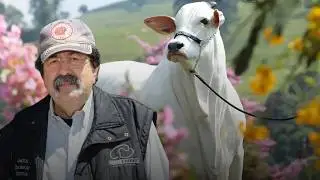 Quem é o Maior Criador de Vacas Milionárias do Brasil? O Nome Por Trás dos Milhões