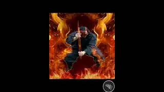 Steel Wire Monkey vs The Fire Demon Monkey  #SteelWireMonkey #monkeymartialarts #monkeyboxing