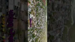 my village enjar Halvad #gujrat status #like